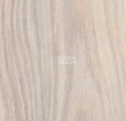 Кварцвиниловые полы Forbo Effekta Professional 0.45 4021 P планка 4021 Creme Rustic Oak PRO фото 1 | FLOORDEALER